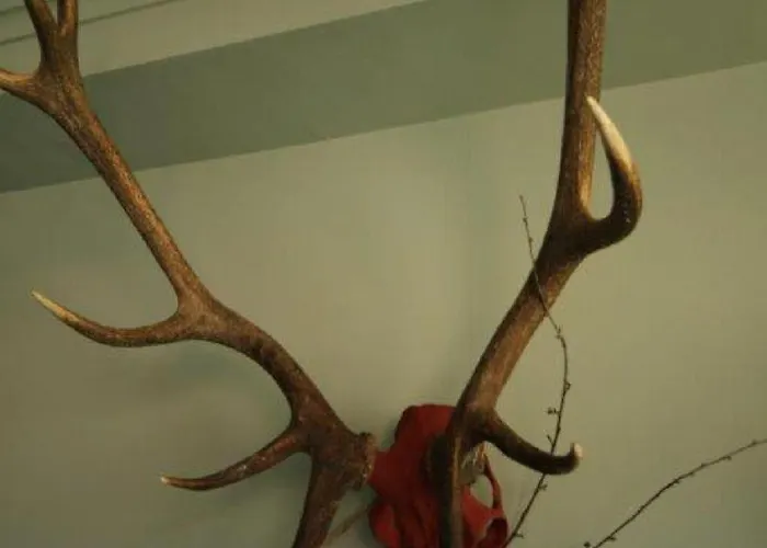 Restaurant Struemper Hof Hotel